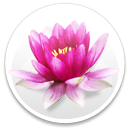thm251_textmedium